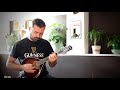 Irish mandolin tunes master crowleys reel