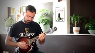 Irish mandolin tunes. Master Crowley&#39;s (reel)