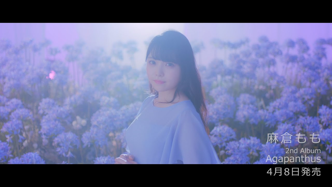 麻倉もも Agapanthus Music Video Short Ver Youtube