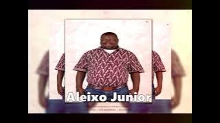 Aleixo Junior - Empresa