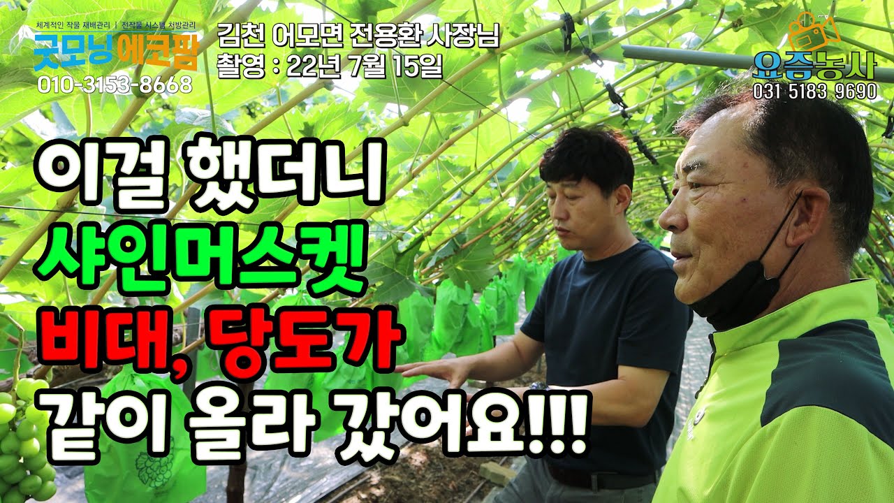 EP.022 비대와 당도를 동시에 해결 - 김천 어모면 전용환 사장님