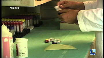 Quali sono i virus nel sangue?