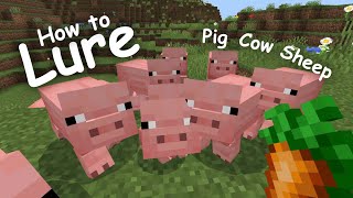 How to Lure Pigs Cows Sheep in Minecraft Beginner Animal Farming Guide