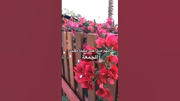 #اللهم_صل_وسلم_على_نبينا_محمد 🌹♥️ #الجمعة #سورة_الكهف #الصلاة_على_النبي  #ساعه_استجابه #دعاء_مستجاب