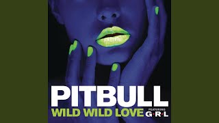 Video thumbnail of "Pitbull - Wild Wild Love"