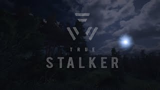 ЛУЧШЕ ЧЕМ S.T.A.L.K.E.R 2#STALKER True Stalker #1 Первая вылазка