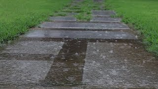 차분한 빗소리 rain sounds asmr 수면유도 공부 비오는소리 white noise screenshot 4