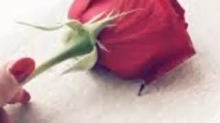 بهواك ابتدا عمري         نجوي كرم - اسمعها