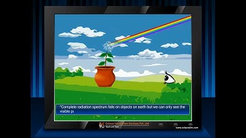 Phenomenon of Visibility, animation by OcS (www.octavesim.com)