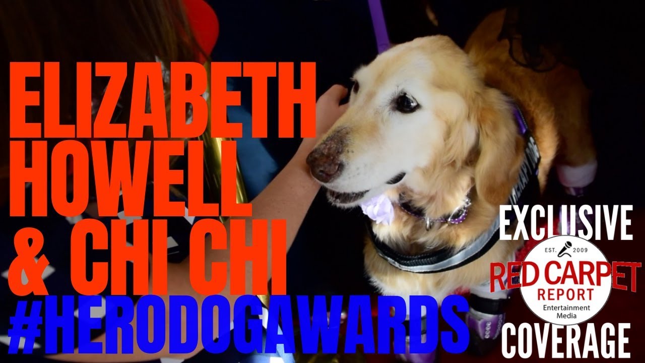 Elizabeth Howell & Chi Chi interviewed at 2018 American Humane Hero Dog Awards 