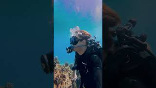 June Dive Challenge with Buddy Explorer x #fourthelement