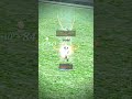 Sword Muse vs Grand Khavatari Mykolaiv - L2 Eternal