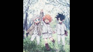 The Three Musketeers For Life