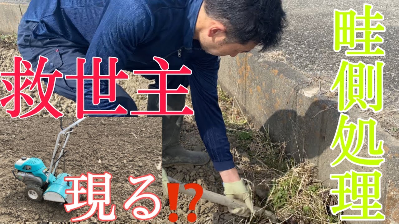 Treating the ridges with a mini cultivator! - YouTube