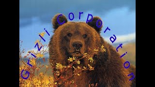 Поговорим о заработке в интернете. Обучение. Поговорим о заработке в интернете. Обучение.