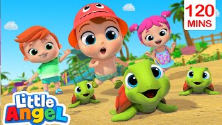 Beach Day Song Turtle Rescue Play Safe Outdoor Little Angel Kids Nursery Rhymes