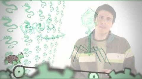 Fast Draw: Swine flu