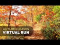 Virtual trail run  beautiful autumn leaves  new england