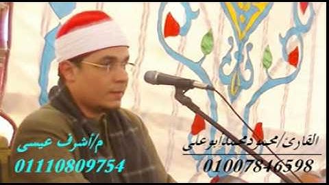 القارئ محمود محمد أبوعلى  وما تيسر من سورة النساء  رووووووعه