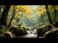 Relaxing brain music for night routine with soft tones for inner serenity