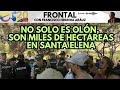 No solo es oln son miles de hectreas en santa elena