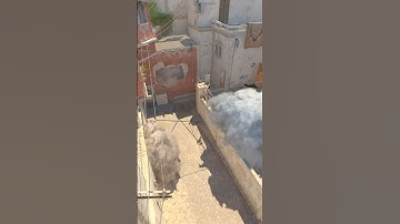 NAVI mirage mid control #counterstrike #counterstrike2 #cs2 #iem  #csgo #shorts