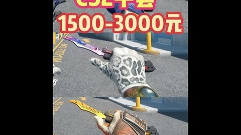 CS2皮肤推荐：16款1500-3000元CS2手套推荐 CS2手套推荐，16款高颜值高性价比的CS2手套推荐，包含：雪豹，王蛇，大型猎物，老虎精英，一线特工等等！运动手套，驾驶手套，专业手套，摩托