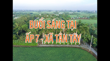 Buổi sáng tại Ấp 7 - Xã Tân Tây - Gò Công