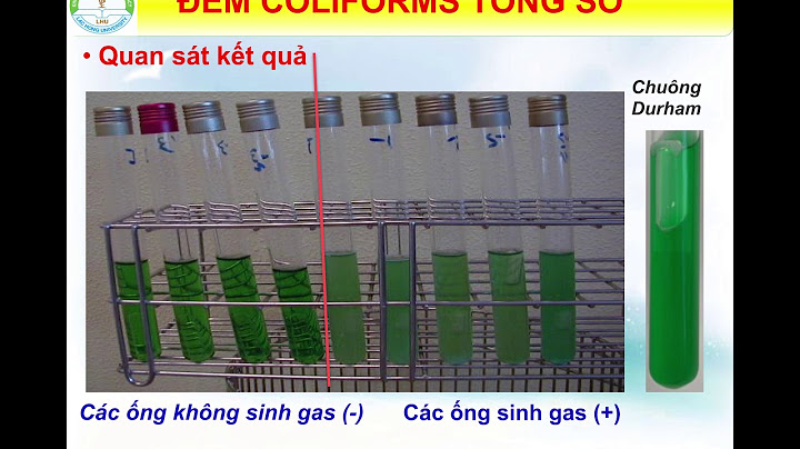 Đánh giá chất lượng mẫu nước về vi sinh năm 2024