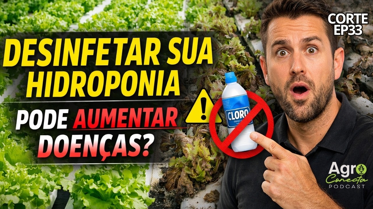 COMO A ROTAÇÃO DE CULTURA É NECESSÁRIA NA HIDROPONIA PROFISSIONAL - CORTE AGRO CONECTA PODCAST EP33
