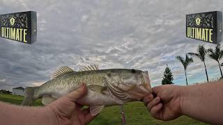 Local Pond Mystery Tackle Box Challenge