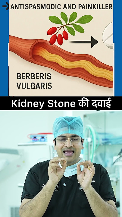 Berberis vulgaris | Treatment of kidney stones | RIRS #kidneystones