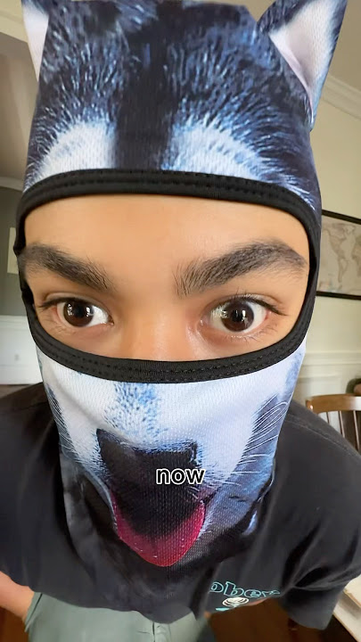 Download lagu My Dog Doesn’t Bite!