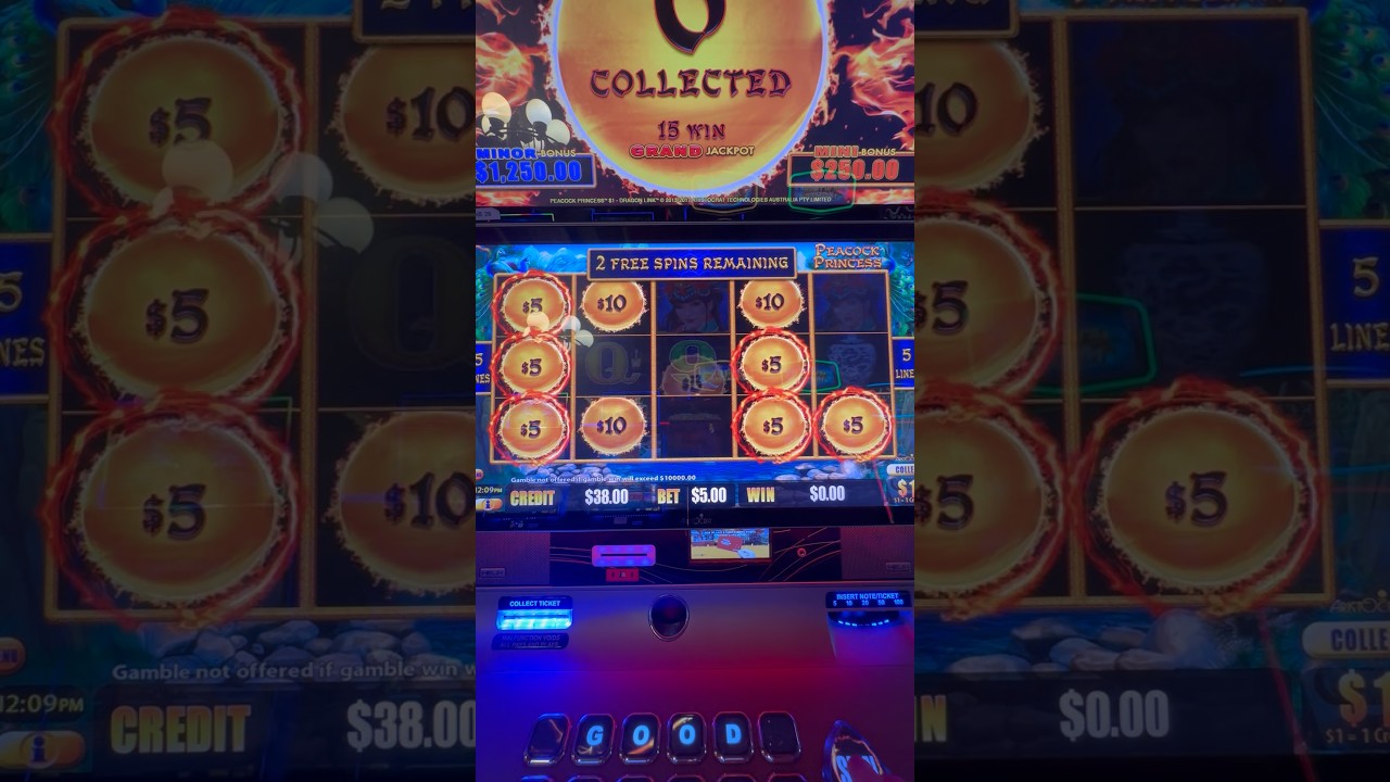 Peacock Princess max bets, let’s go! 