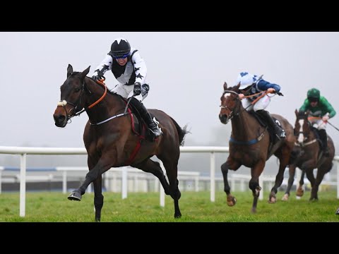 £420,000 purchase romeo coolio enters champion bumper picture with fairyhouse win