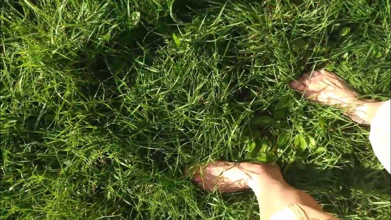 Босиком по траве. - YouTube