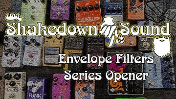 19 Pedals! - The Shakedown Sound Series - Series Opener