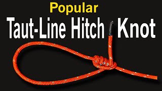 Taut-Line Hitch | How To Tie A Taut Line Hitch Knot | MHK Satisfying DIY #shorts #knots #diy
