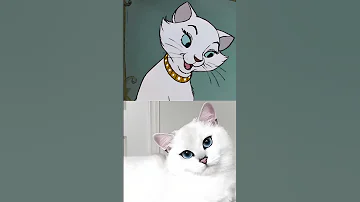 The Aristocats Real Life Shorts 