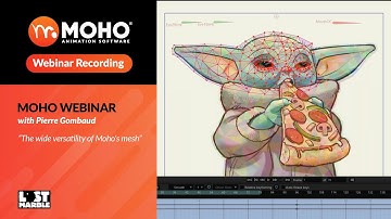Webinar – The wide versatility of Moho