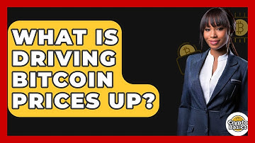 What Is Driving Bitcoin Prices Up? - CryptoBasics360.com