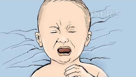 Class 8 English The Boy Who Asked For More Part-1