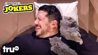 Funniest Animal Moments (Mashup) | Impractical Jokers | truTV