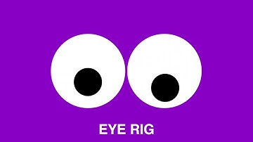 EYE RIG | DUIK BASSEL 2.0 | AFTER EFFECTS 2019 CC | Motion Graphics Services | Character Animation
