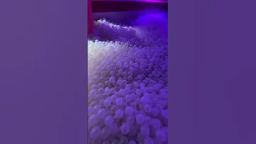 BubblePlanetLondon ImmersiveExperience VRTechnology Illusions BallPits Wembley Familyfun 