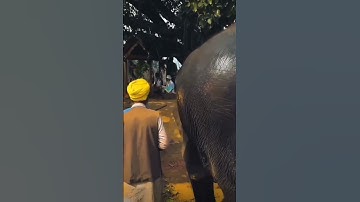 If You Have 10 Seconds Then Write Waheguru ji ❤️🙏 || Subscribe channel