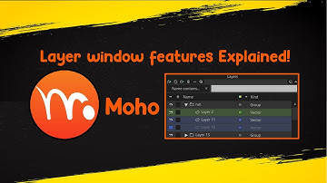 Layer window features Explained! | Moho 13.5 tutorial