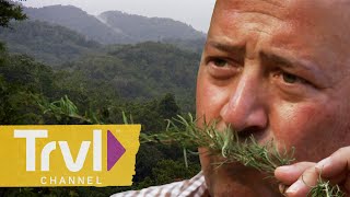 Fresh Food in a Forest Clearing | Bizarre Foods with Andrew Zimmern | Travel Channel by Travel Channel 11,193 views 9 days ago 8 minutes, 31 seconds