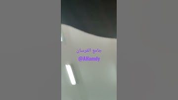 ويوم يناديهم (القارئ سامي العتيق)