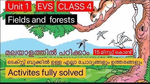 CLASS 4 | EVS | CHAPTER 1 | FIELDS AND FORESTS | SCERT  | BEST PART |